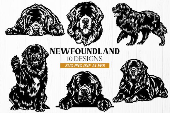 Newfoundland Dog SVG Bundle: A Stitch Test